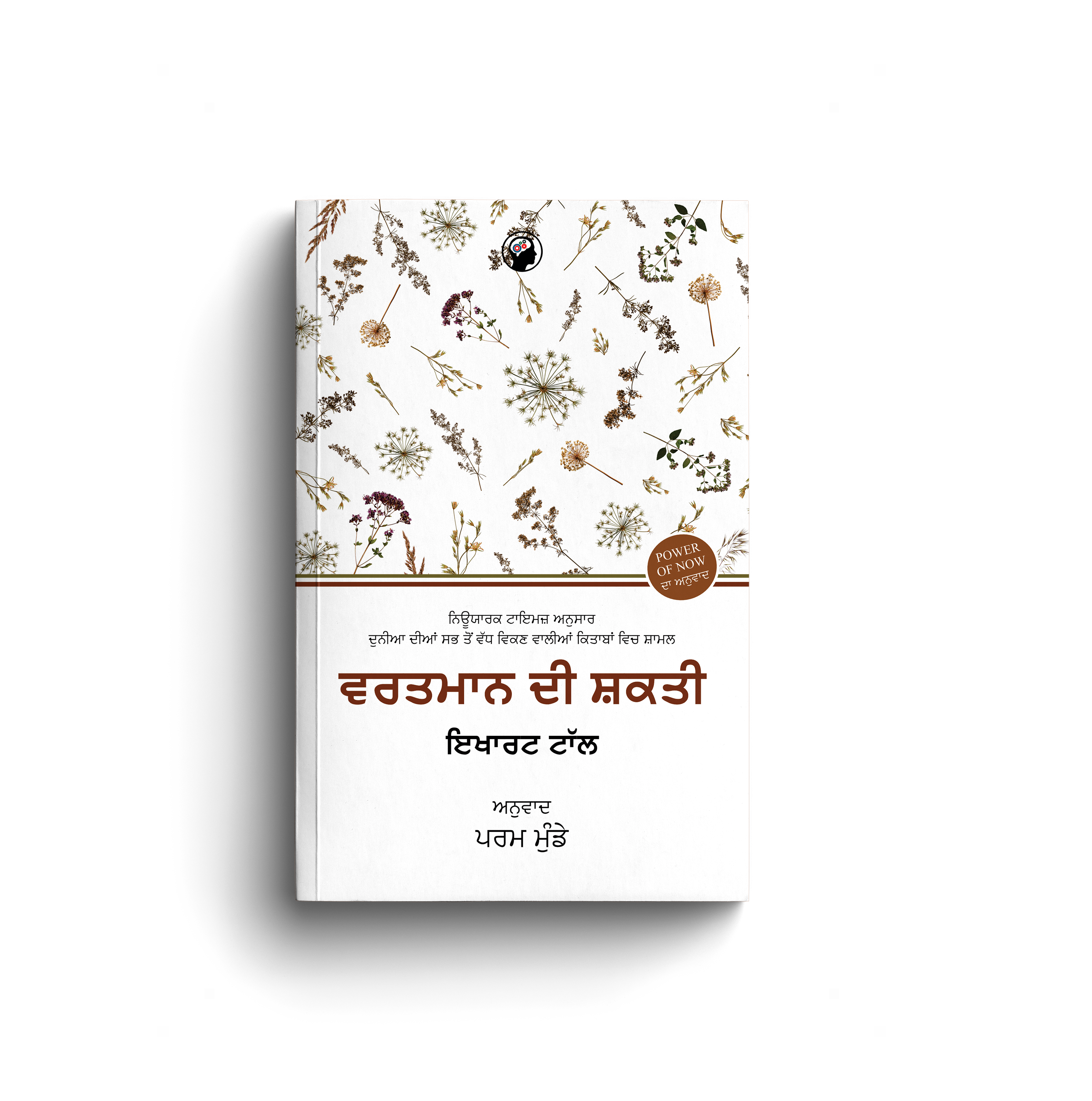ਵਰਤਮਾਨ ਦੀ ਸ਼ਕਤੀ । VARTMAAN DI SHAKTI
